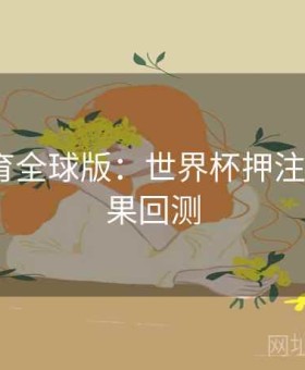 易游体育全球版：世界杯押注指南·结果回测