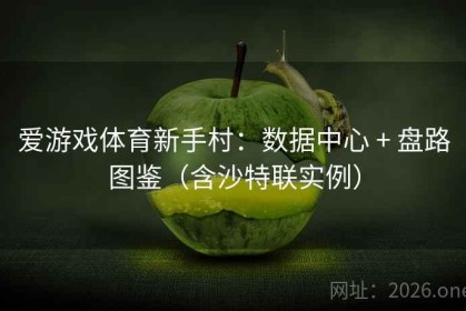 爱游戏体育新手村：数据中心 + 盘路图鉴（含沙特联实例）