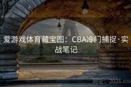 爱游戏体育藏宝图：CBA冷门捕捉·实战笔记