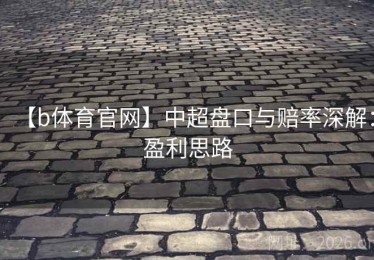 【b体育官网】中超盘口与赔率深解：盈利思路
