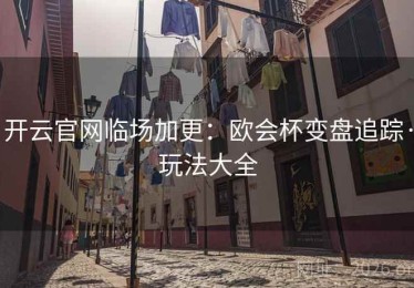 开云官网临场加更：欧会杯变盘追踪·玩法大全