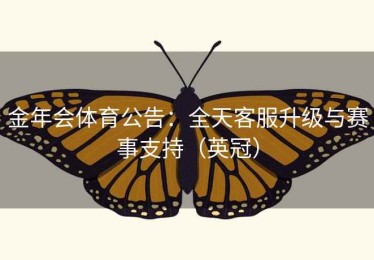 金年会体育公告：全天客服升级与赛事支持（英冠）