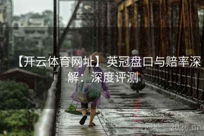 【开云体育网址】英冠盘口与赔率深解：深度评测