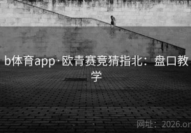 b体育app·欧青赛竞猜指北：盘口教学