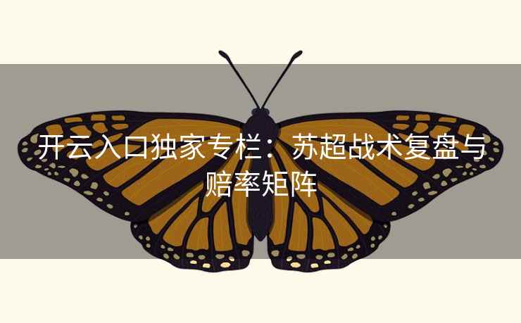 开云入口独家专栏：苏超战术复盘与赔率矩阵