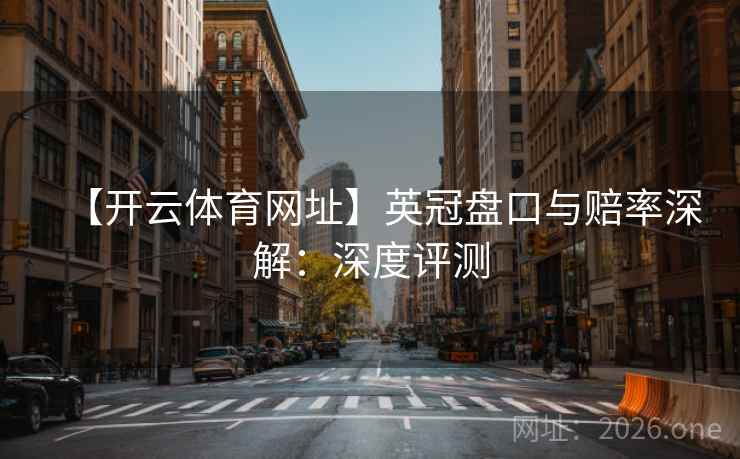 【开云体育网址】英冠盘口与赔率深解：深度评测