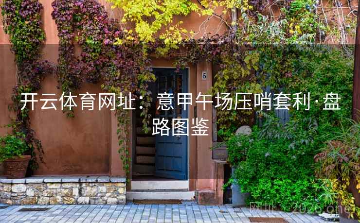 开云体育网址:意甲午场压哨套利·盘路图鉴 开云体育网址:意甲午场压哨套利·盘路图鉴