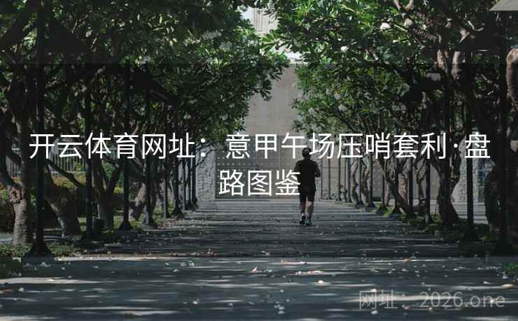 开云体育网址:意甲午场压哨套利·盘路图鉴 开云体育网址:意甲午场压哨套利·盘路图鉴