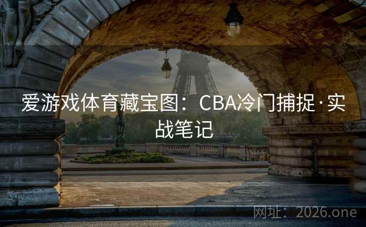 爱游戏体育藏宝图:CBA冷门捕捉·实战笔记 爱游戏体育藏宝图:CBA冷门捕捉·实战笔记